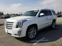 Vandalism Cars for sale at auction: 2019 Cadillac Escalade Premium Luxury