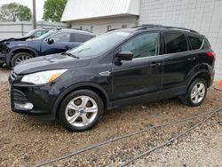 Salvage cars for sale from Copart Blaine, MN: 2013 Ford Escape SE