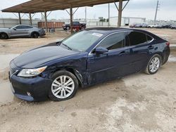 Salvage cars for sale at Temple, TX auction: 2014 Lexus ES 350