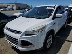 Salvage cars for sale from Copart Martinez, CA: 2013 Ford Escape SE