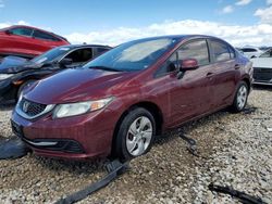 Honda Civic lx salvage cars for sale: 2013 Honda Civic LX