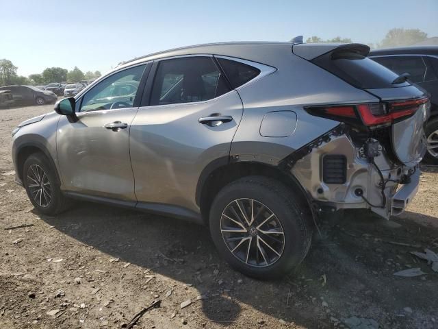 2024 Lexus NX 350H Base