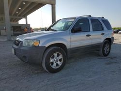 Salvage cars for sale at West Palm Beach, FL auction: 2005 Ford Escape XLT