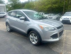 Salvage cars for sale from Copart North Billerica, MA: 2013 Ford Escape SE