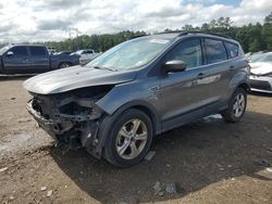 Salvage cars for sale from Copart Greenwell Springs, LA: 2014 Ford Escape SE