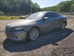 Salvage cars for sale at Finksburg, MD auction: 2009 Honda Accord EX