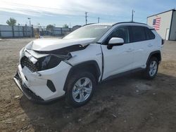 Toyota salvage cars for sale: 2019 Toyota Rav4 LE