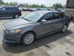Salvage cars for sale at Fort Wayne, IN auction: 2013 Ford Fusion SE Hybrid