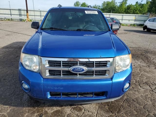 2011 Ford Escape XLT