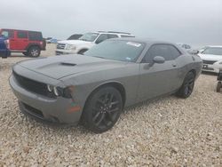 Salvage cars for sale from Copart Temple, TX: 2023 Dodge Challenger SXT