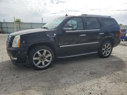 Salvage cars for sale at Dyer, IN auction: 2008 Cadillac Escalade Luxury