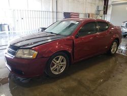 Salvage cars for sale from Copart Avon, MN: 2014 Dodge Avenger SE