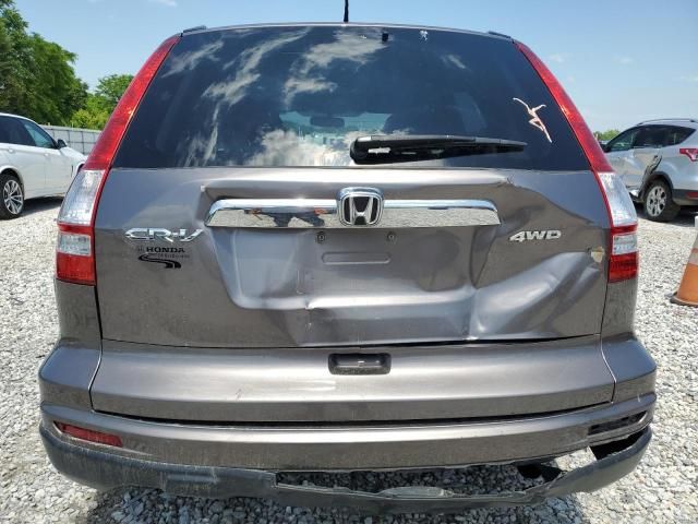 2010 Honda CR-V EXL