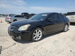 Salvage cars for sale at Houston, TX auction: 2008 Nissan Maxima SE