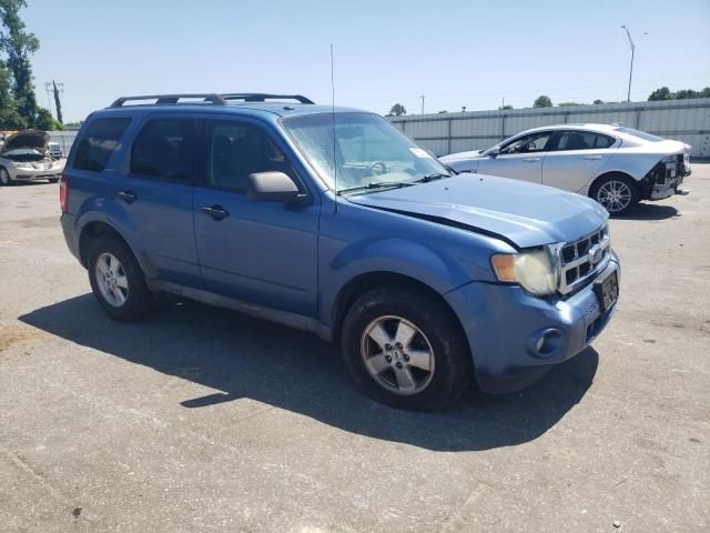 2009 Ford Escape XLT