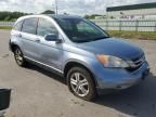 2010 Honda CR-V EXL