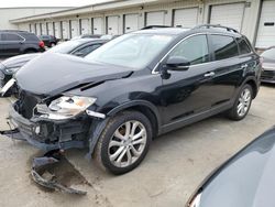 Salvage cars for sale from Copart Louisville, KY: 2011 Mazda CX-9