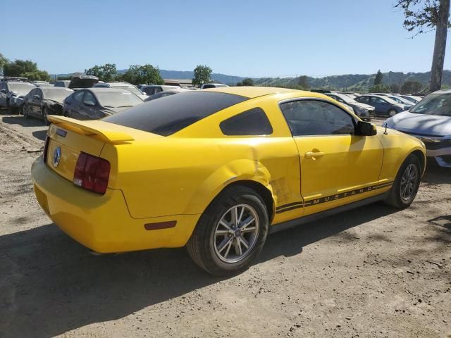 2005 Ford Mustang