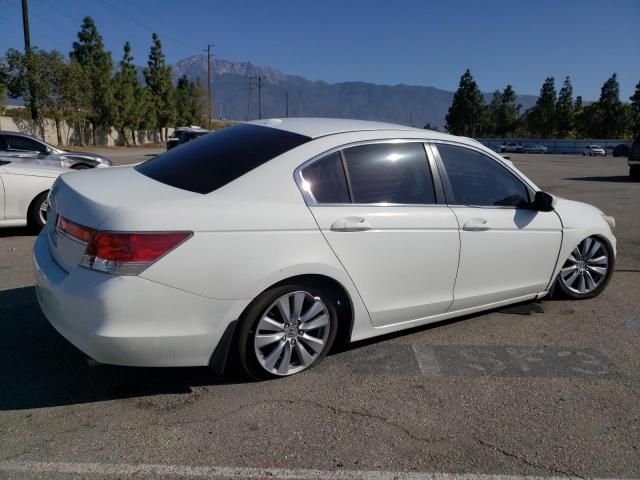 2011 Honda Accord EXL