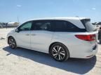 2020 Honda Odyssey Elite