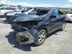 Salvage cars for sale at Bridgeton, MO auction: 2016 Ford Escape SE