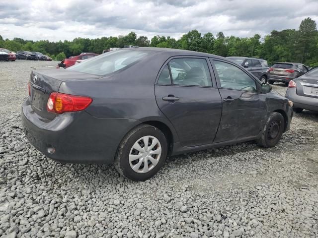 2010 Toyota Corolla Base