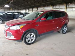 Salvage cars for sale at Phoenix, AZ auction: 2014 Ford Escape SE