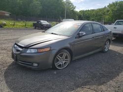 Salvage cars for sale from Copart Finksburg, MD: 2008 Acura TL