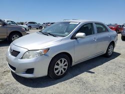 Salvage cars for sale from Copart Antelope, CA: 2009 Toyota Corolla Base