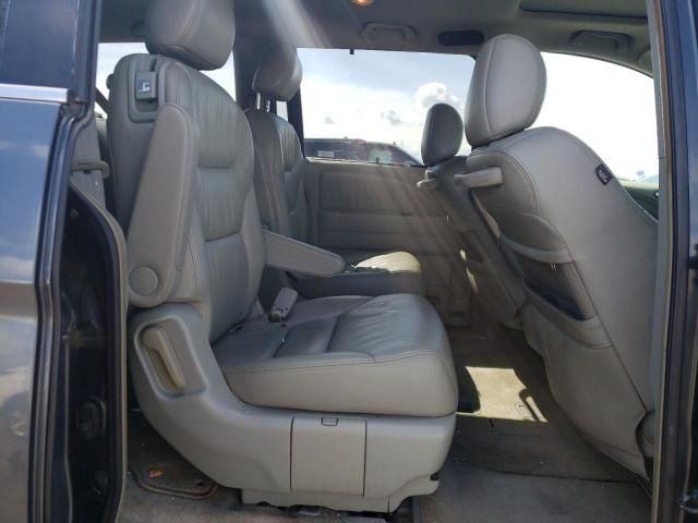 2005 Honda Odyssey EXL