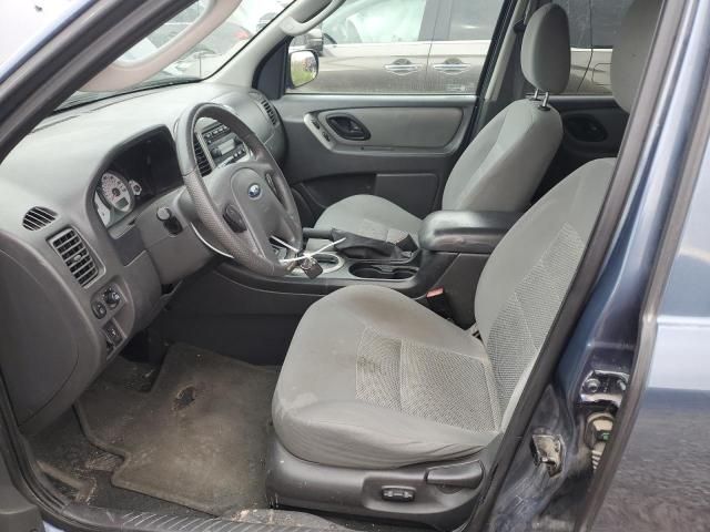 2006 Ford Escape XLT