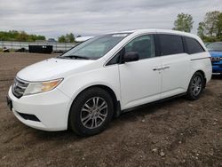 Honda Odyssey exl Vehiculos salvage en venta: 2011 Honda Odyssey EXL