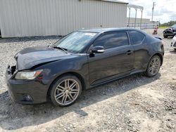 Salvage cars for sale at Tifton, GA auction: 2013 Scion TC