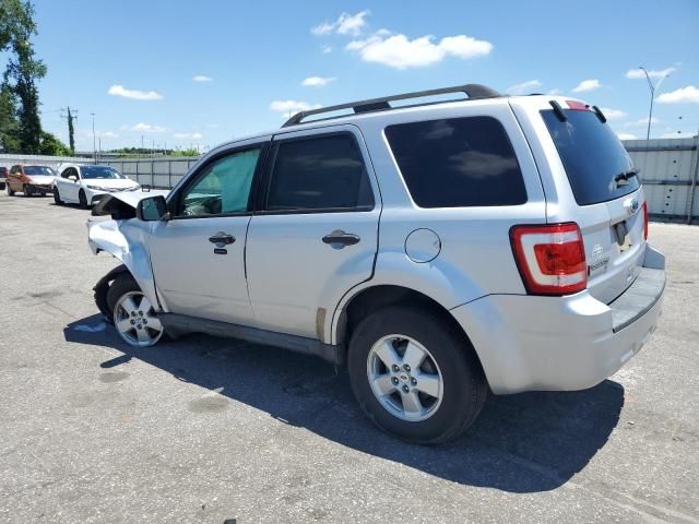 2011 Ford Escape XLT