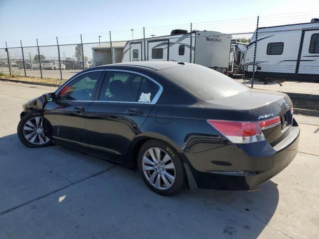 2011 Honda Accord EXL