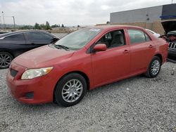 Salvage cars for sale at Mentone, CA auction: 2009 Toyota Corolla Base