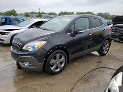 Salvage cars for sale from Copart Louisville, KY: 2014 Buick Encore Convenience