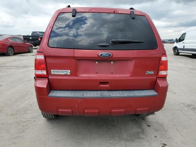 2011 Ford Escape XLT