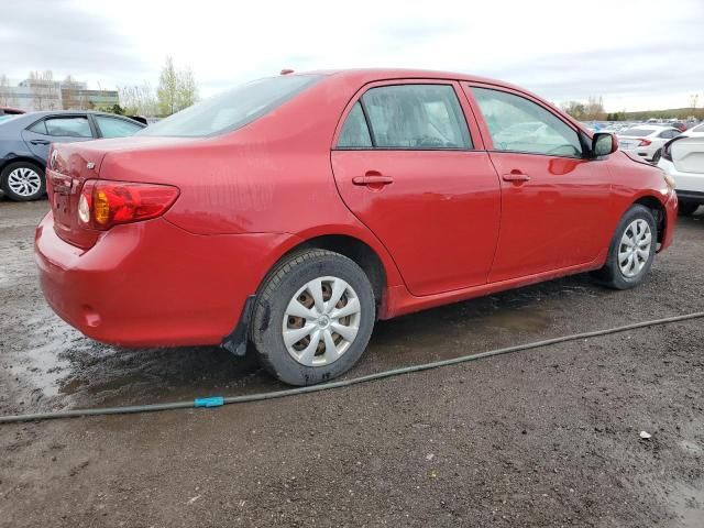 2009 Toyota Corolla Base