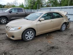 Salvage cars for sale at Lyman, ME auction: 2010 Toyota Camry SE
