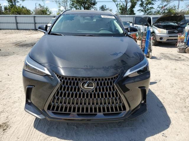 2024 Lexus NX 250 Premium