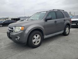 Salvage cars for sale at Sun Valley, CA auction: 2010 Ford Escape XLT