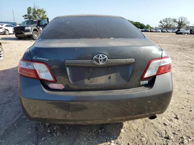 2009 Toyota Camry Hybrid