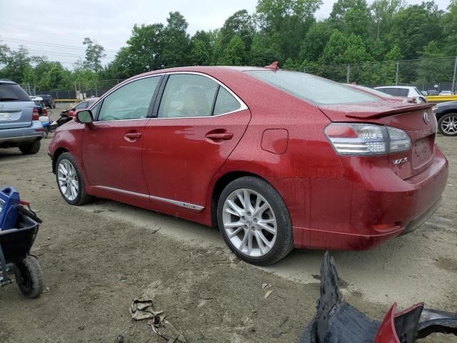 2010 Lexus HS 250H