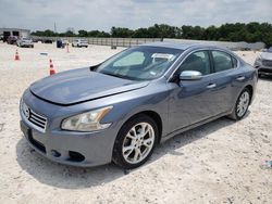 Salvage cars for sale from Copart New Braunfels, TX: 2012 Nissan Maxima S