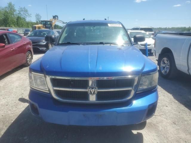 2008 Dodge Dakota SXT