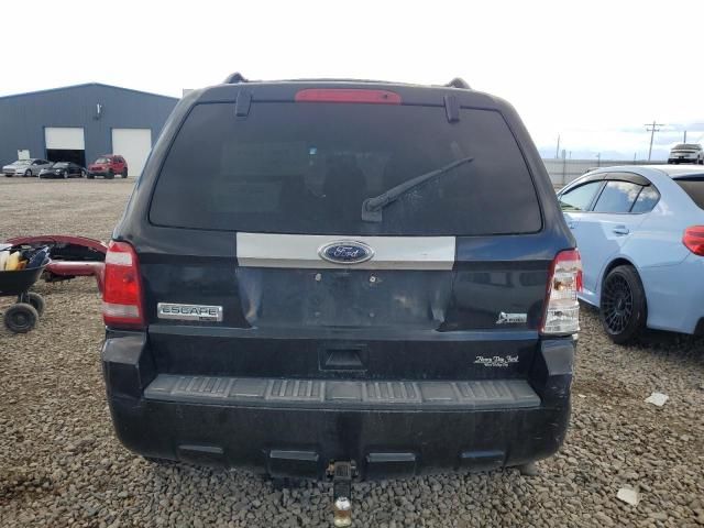 2010 Ford Escape Limited