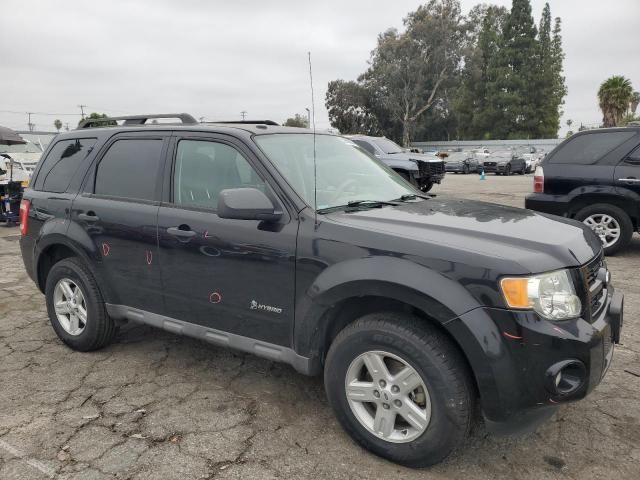 2009 Ford Escape Hybrid