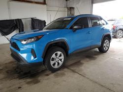 Salvage cars for sale from Copart Lexington, KY: 2020 Toyota Rav4 LE