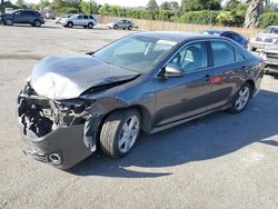 Salvage cars for sale at San Martin, CA auction: 2013 Toyota Camry L